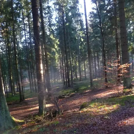 9 Blockhaus Bayern Feriehus *